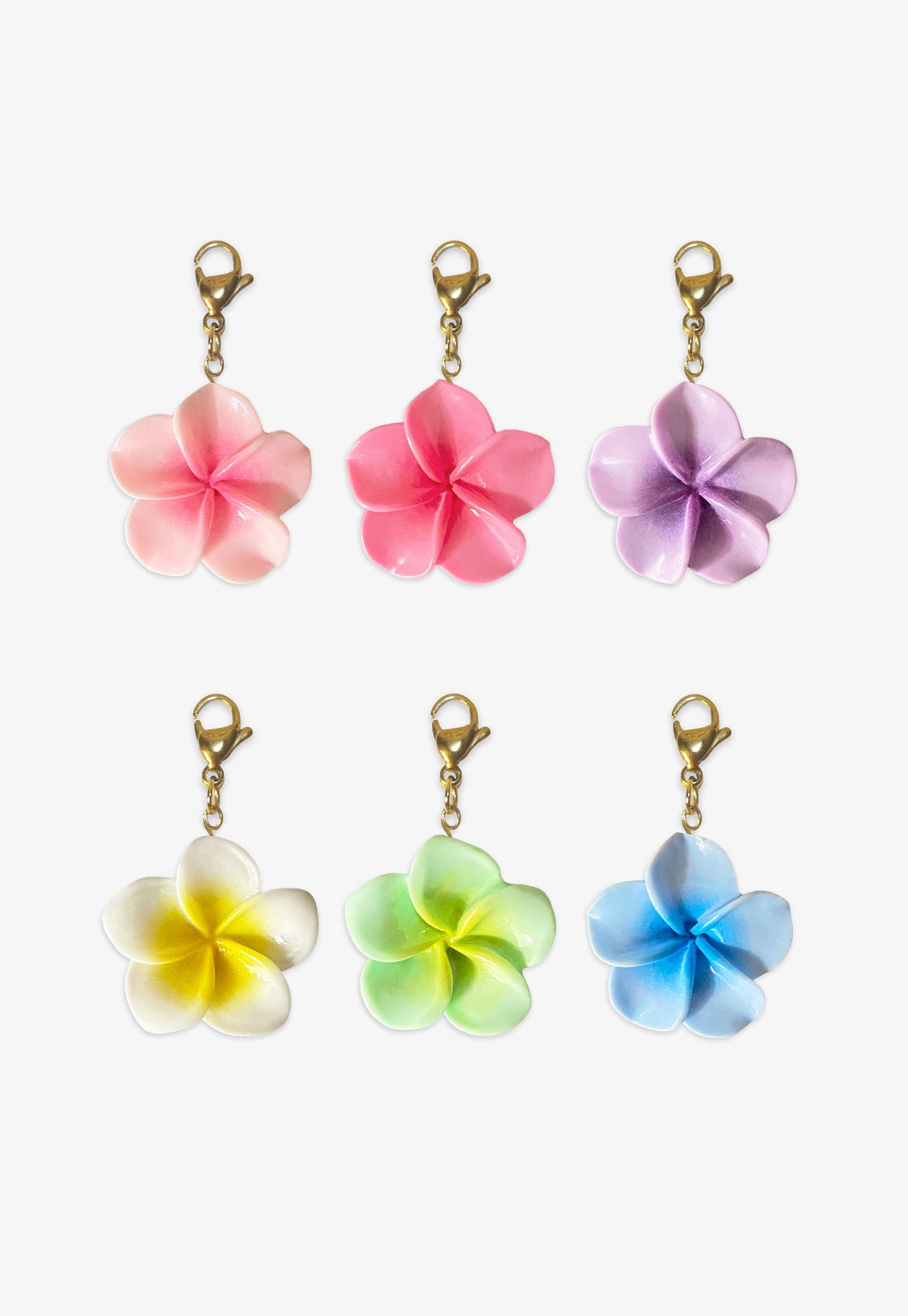 Aloha Bloom