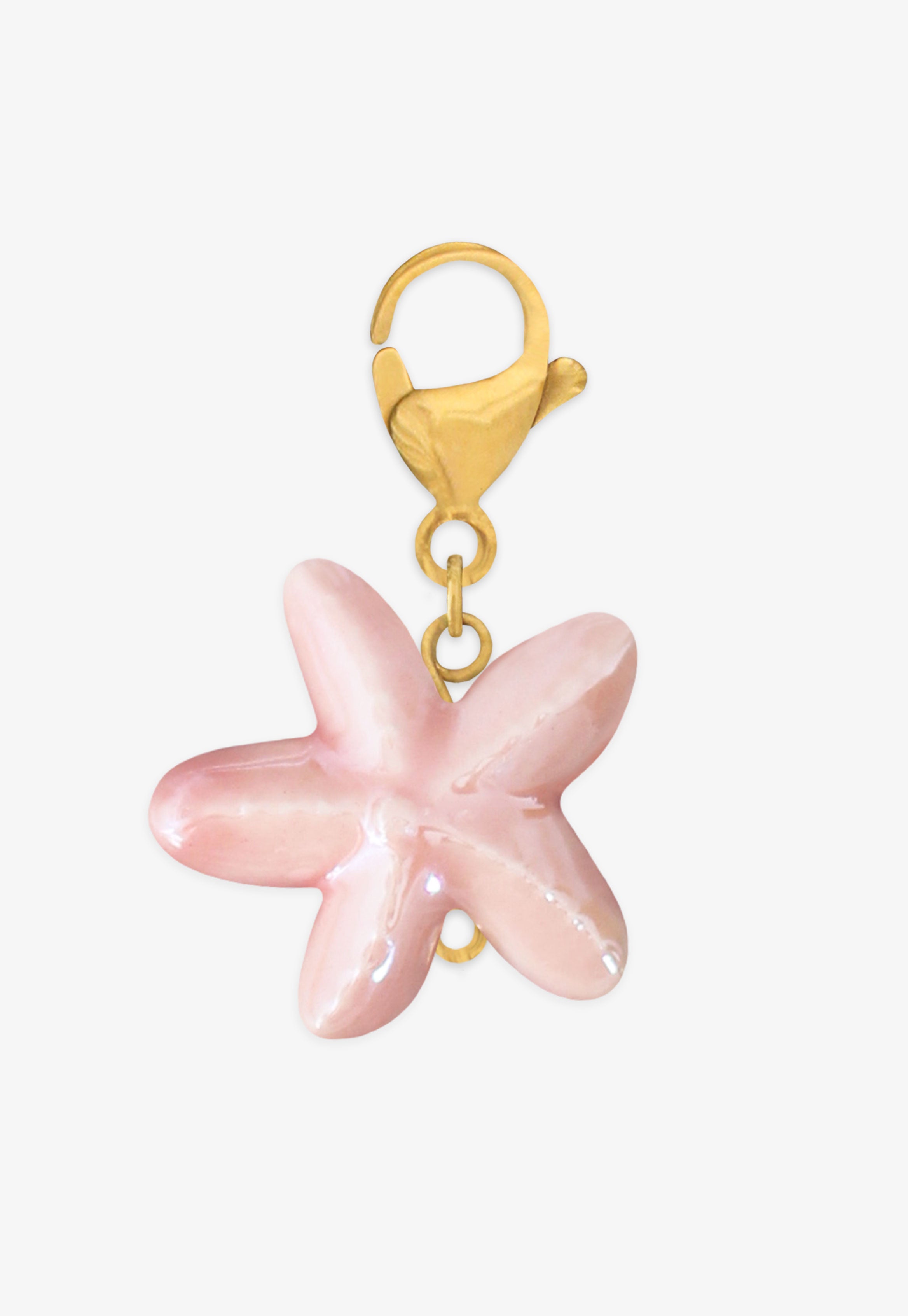 Charm Estrella Mar Rosa