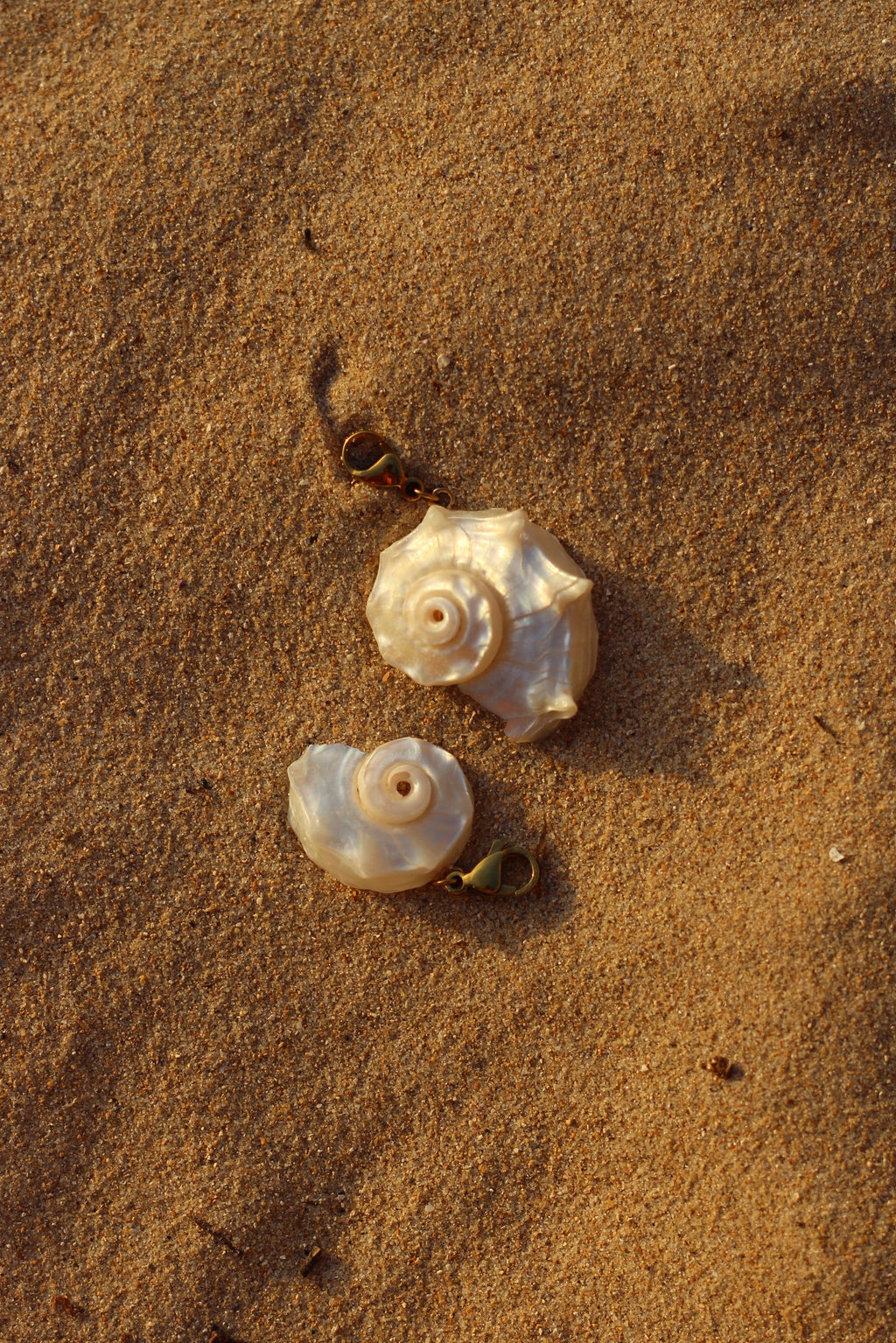 Concha natural