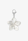 Nacre Blossom