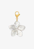 Nacre Blossom